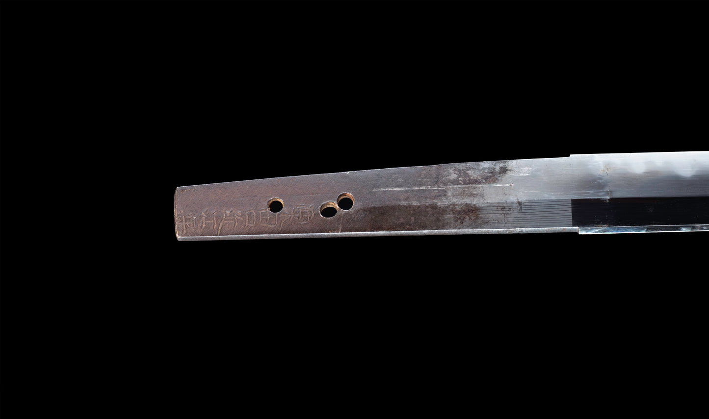 Katana japonesa antigua, tsuba Ave acuática firmado Awataguchi