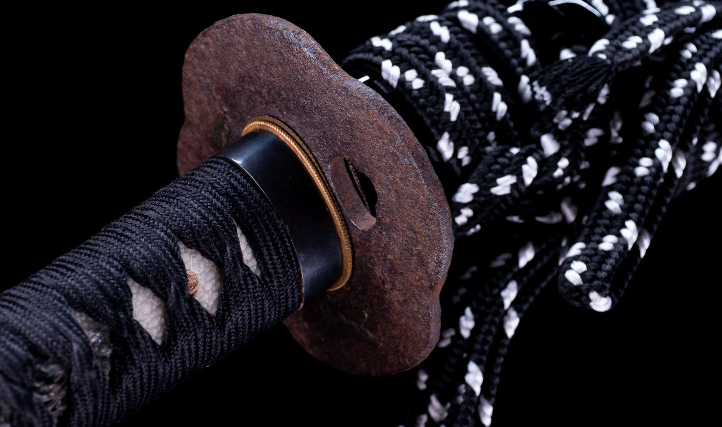 Antique Japanese Katana with Black Lacquer Koshirae and Feather-Motif Iron Tsuba signed Chikushi Tadamasa - Hozon