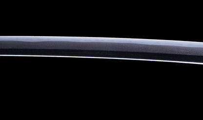 Antique Japanese Katana with Black Lacquer Koshirae and Feather-Motif Iron Tsuba signed Chikushi Tadamasa - Hozon