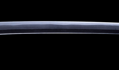 Antique Japanese Katana with Black Lacquer Koshirae and Feather-Motif Iron Tsuba signed Chikushi Tadamasa - Hozon