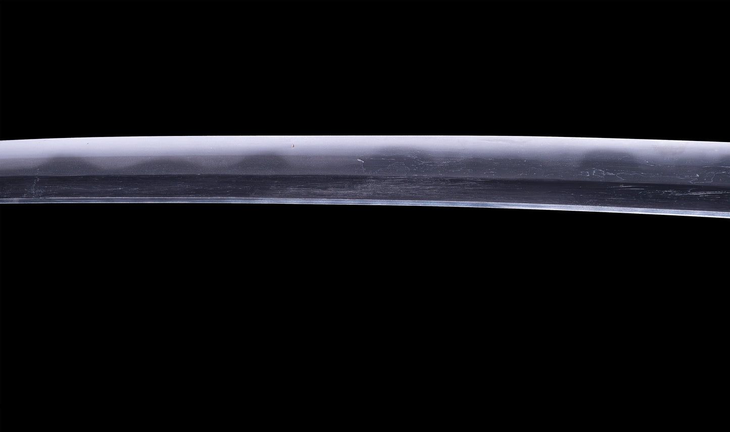 Antique Japanese Katana Sword with Toran Hamon and Cherry-Blossom Iron Tsuba — Osaka Shintō