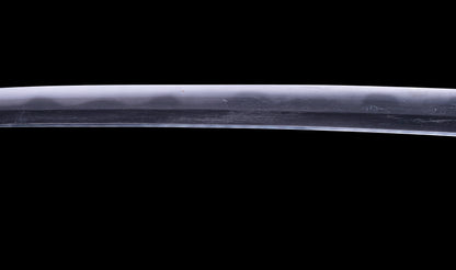 Antique Japanese Katana Sword with Toran Hamon and Cherry-Blossom Iron Tsuba — Osaka Shintō