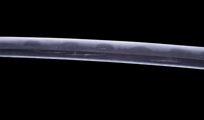 Antique Japanese Katana Sword with Toran Hamon and Cherry-Blossom Iron Tsuba — Osaka Shintō