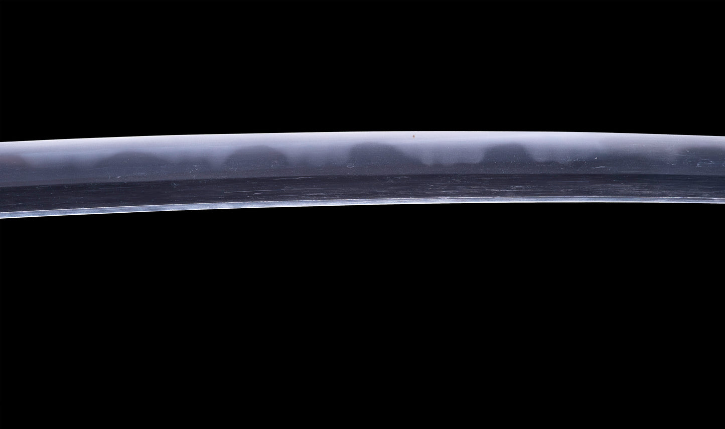 Antique Japanese Katana Sword with Toran Hamon and Cherry-Blossom Iron Tsuba — Osaka Shintō