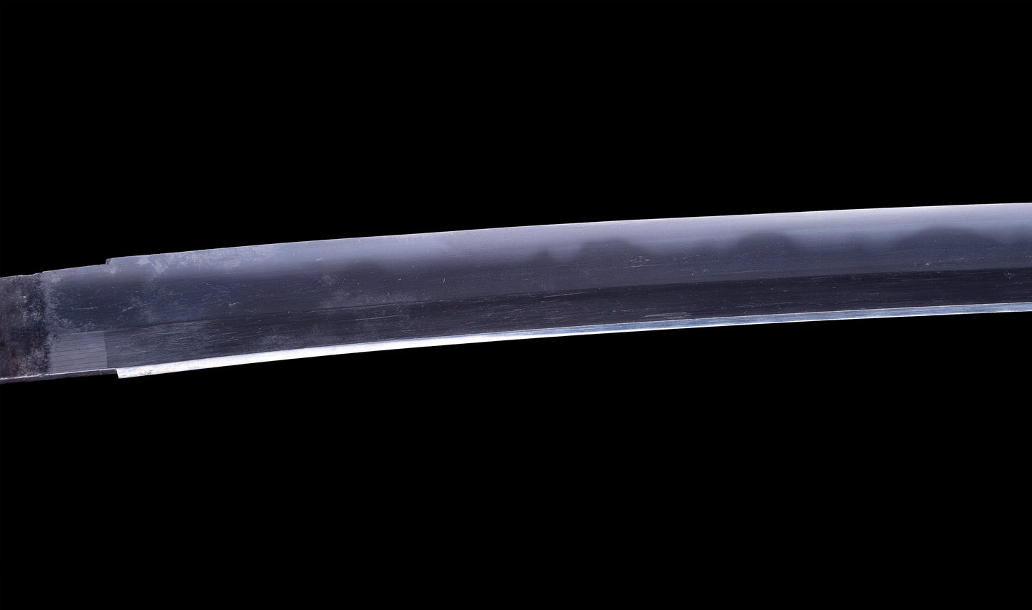 Antique Japanese Katana Sword with Toran Hamon and Cherry-Blossom Iron Tsuba — Osaka Shintō