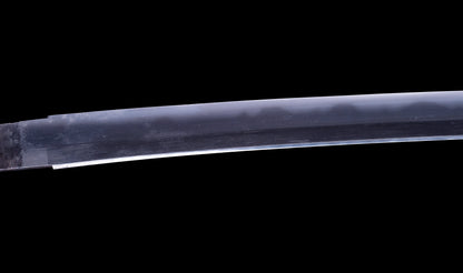 Antique Japanese Katana Sword with Toran Hamon and Cherry-Blossom Iron Tsuba — Osaka Shintō