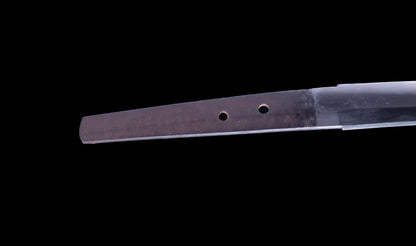 Antique Japanese Katana Sword with Toran Hamon and Cherry-Blossom Iron Tsuba — Osaka Shintō