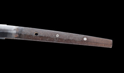 Antique Japanese Katana Sword with Gold-Inlaid Iron Tsuba, Attributed to Chikuzen Nobukuni — NBTHK Hozon