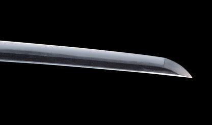Antique Japanese Katana Sword with Gold-Inlaid Iron Tsuba, Attributed to Chikuzen Nobukuni — NBTHK Hozon