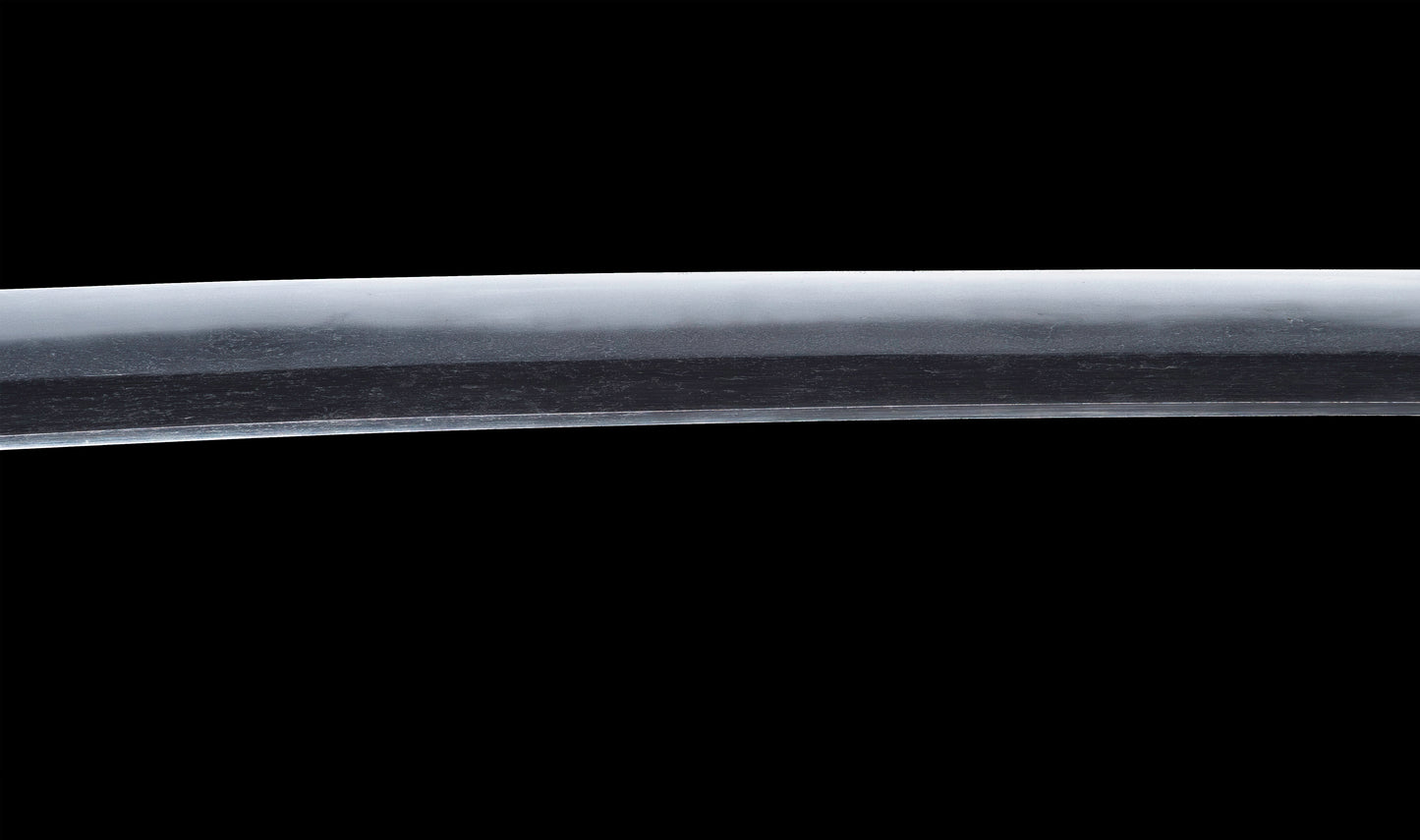 Antique Japanese Katana Sword with Gold-Inlaid Iron Tsuba, Attributed to Chikuzen Nobukuni — NBTHK Hozon