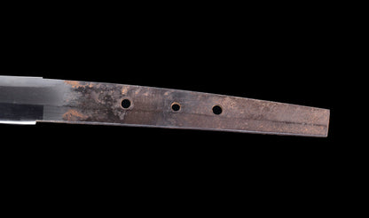 Katana Giapponese Antico con Tsuba Karakusa, firmato Chōshū Fujiwara Kiyoshige — NBTHK Hozon