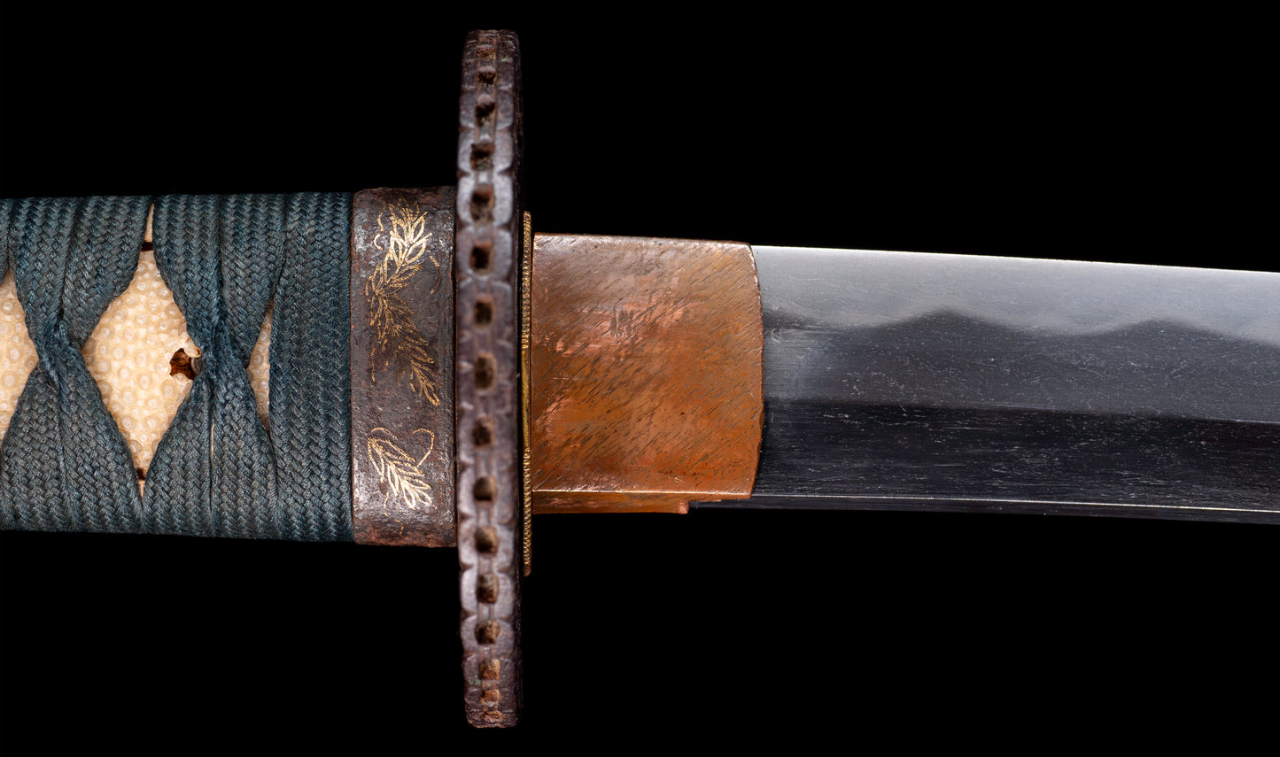 Antiguo katana japonés con hamon gunome, tsuba de hierro namban y menuki karashishi dorados atribuido a Taira Takada - NBTHK Hozon