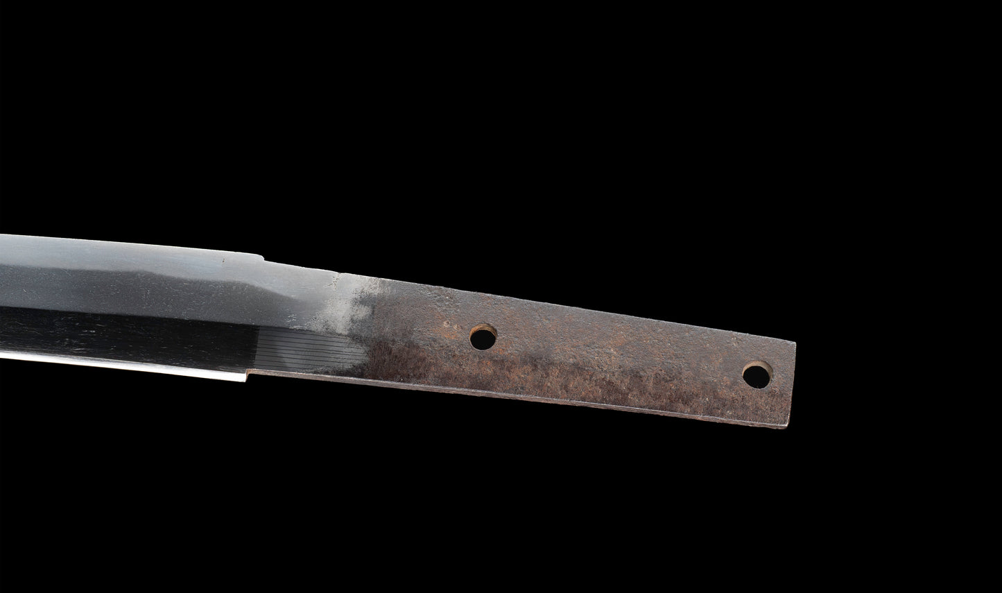 Antiguo katana japonés con hamon gunome, tsuba de hierro namban y menuki karashishi dorados atribuido a Taira Takada - NBTHK Hozon