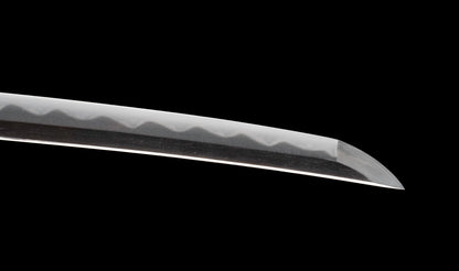Antiguo katana japonés con hamon gunome, tsuba de hierro namban y menuki karashishi dorados atribuido a Taira Takada - NBTHK Hozon