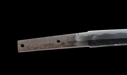 Antiguo katana japonés con hamon gunome, tsuba de hierro namban y menuki karashishi dorados atribuido a Taira Takada - NBTHK Hozon