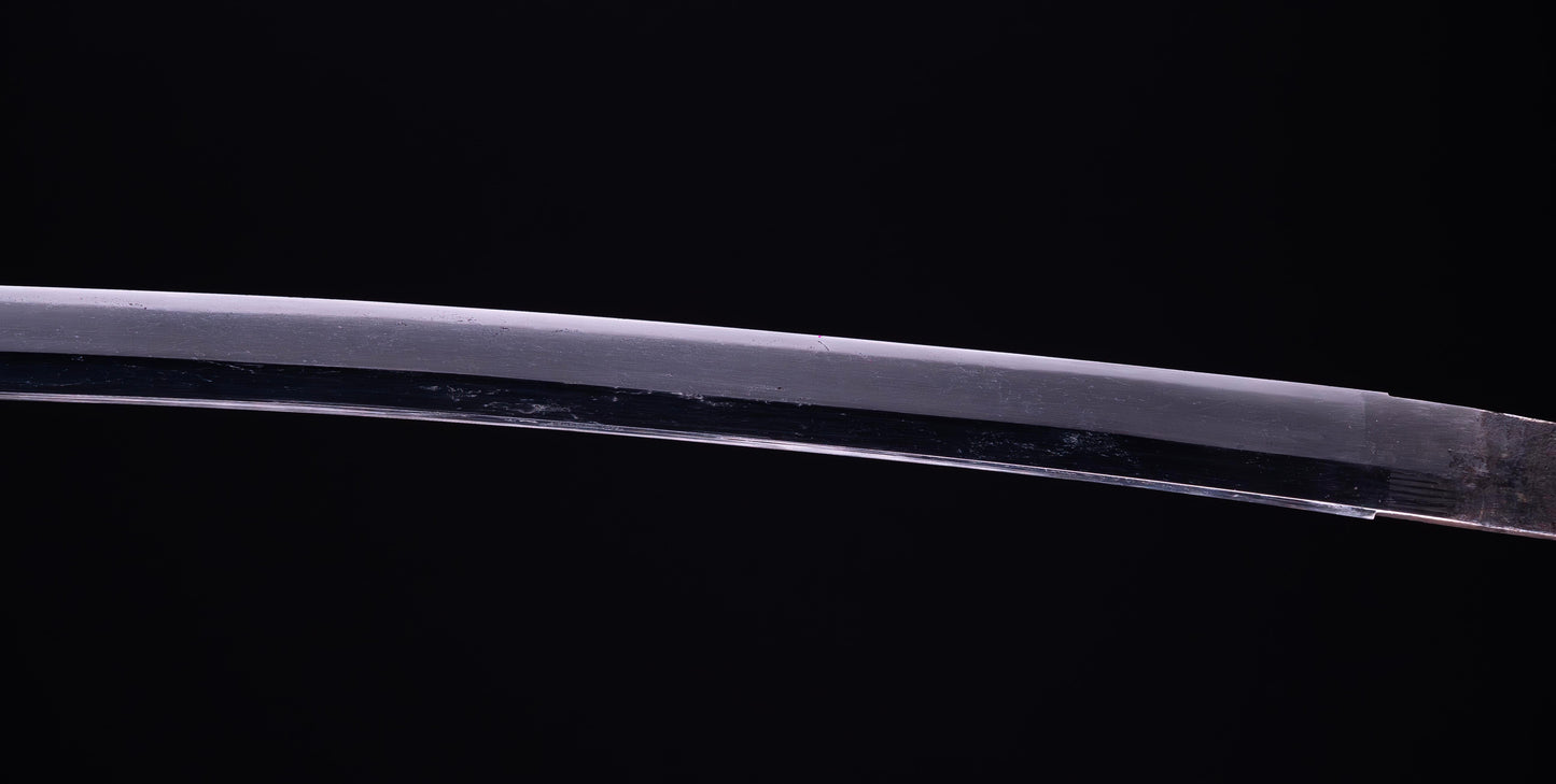 Antique Japanese Katana Sword with Sea Inspired Koshirae