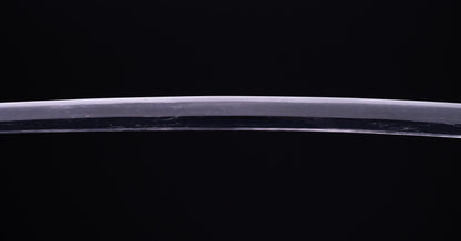Antique Japanese Katana Sword with Sea Inspired Koshirae
