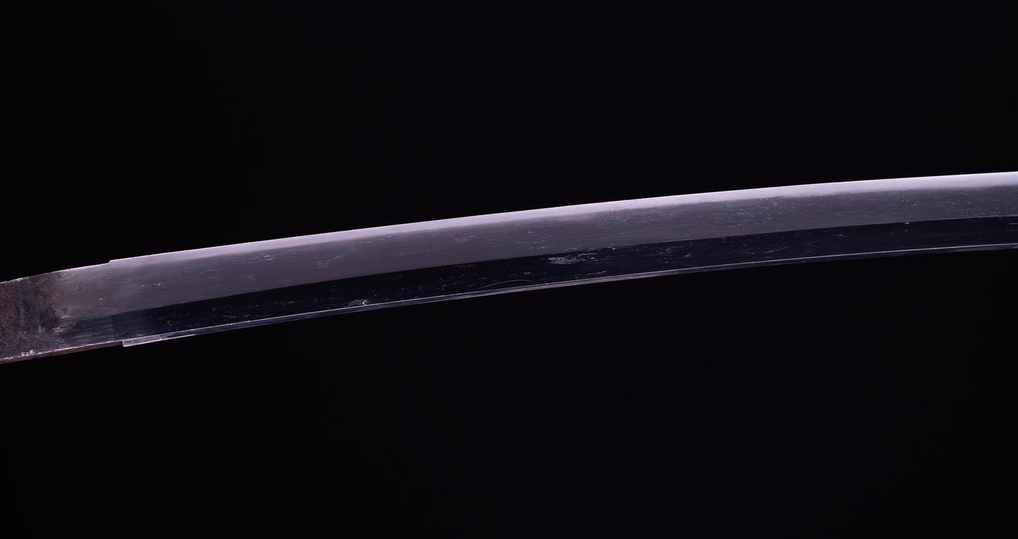 Antique Japanese Katana Sword with Sea Inspired Koshirae