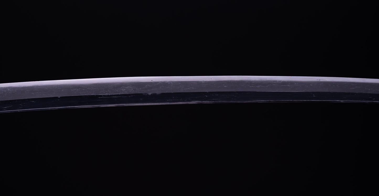 Antique Japanese Katana Sword with Sea Inspired Koshirae