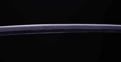 Antique Japanese Katana Sword with Sea Inspired Koshirae