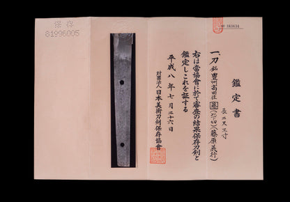 Épée Katana japonaise antique signée ōshū Takata ju Fujiwara Yoshiyuki - Hozon 
