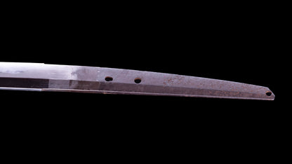 Antique Japanese Katana Sword signed Hitachi no Kami Muneshige, NBTHK Hozon