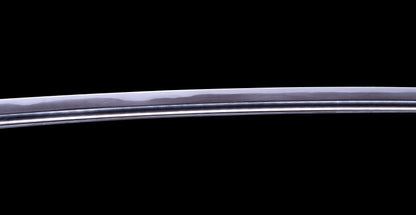 Antique Japanese Katana Sword signed Iwagami Sadahiro