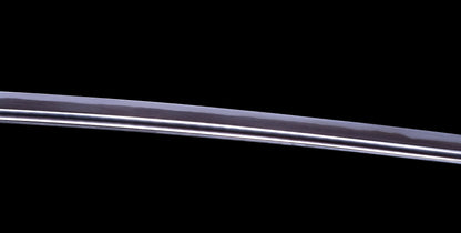 Antique Japanese Katana Sword signed Iwagami Sadahiro