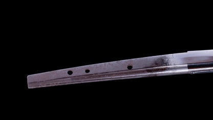 Antique Japanese Daisho - Takada School - Double HOZON