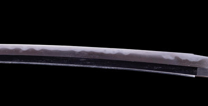 Antique Japanese Daisho - Takada School - Double HOZON