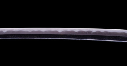 Antique Japanese Daisho - Takada School - Double HOZON