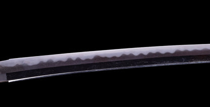 Antique Japanese Daisho - Takada School - Double HOZON