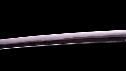 Antique Japanaese Katana Sword signed Omi no Kami Fujiwara Tsuguhiro Katana - NBTHK Hozon