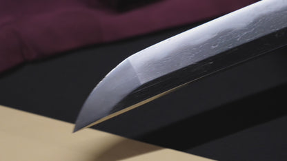 Antique Japanese Katana Sword Ryokai Shigeyoshi - Hozon